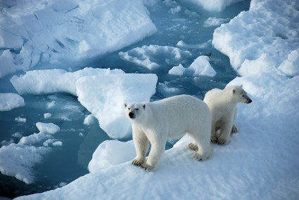 Война за Арктику неизбежна?