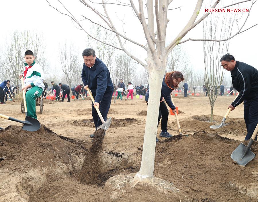 В объективе - Китай | Си Цзиньпин принял участие в посадке деревьев
